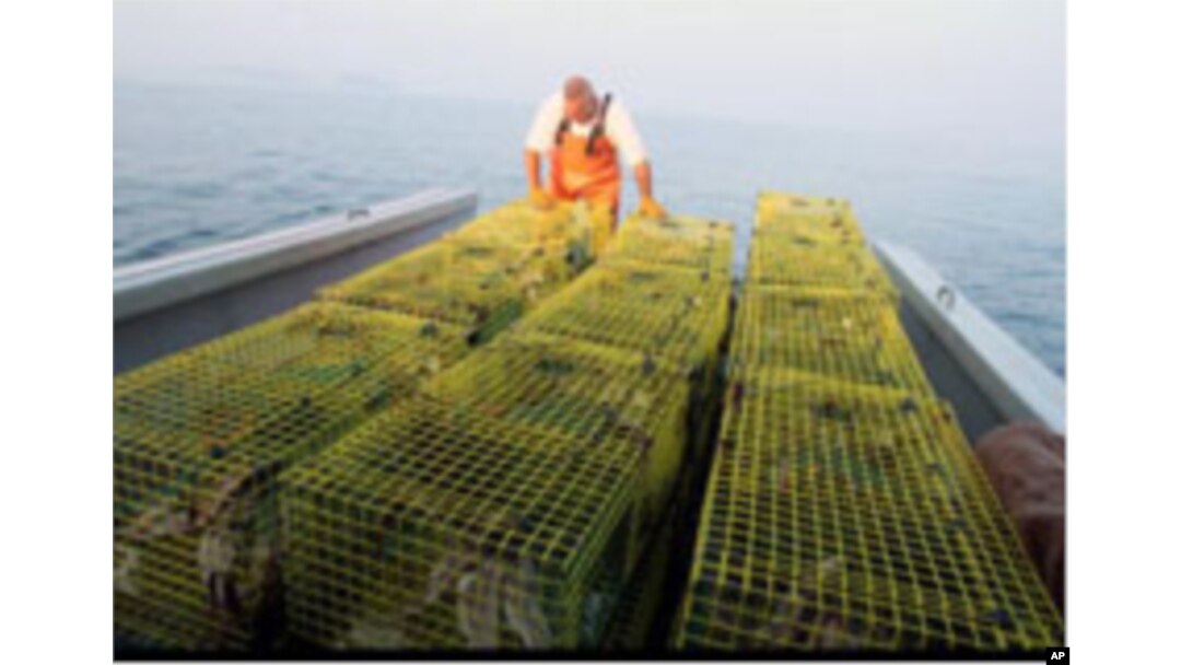 Paul Cabral lines up the lobster traps on the boat's deck.
