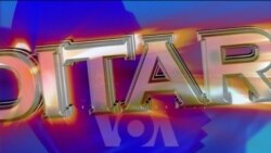 Ditari - SHBA, debati mes kandidatëve për nënpresident