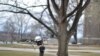 Aerial Robot Maneuvers Like a Bird