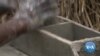 Uganda’s Poor Face Brunt of COVID-19 School Closures