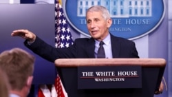 Doktè Anthony Fauci, direktè Enstiti Nasyonal Alèji ak Maladi Enfektyez, chèf ekip espesyal La Mezon Blanch fòme pou dirije lit kont KOVID-19 la.