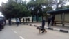 Brigada canina da polícia bloqueia manifestação