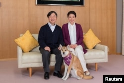 일본 나루히토 황세자와 부인 마사코 황세자빈.