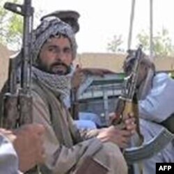 Afg’onistonda xalq AQSh bilan til biriktirgan qurolli guruhdan dod deydi