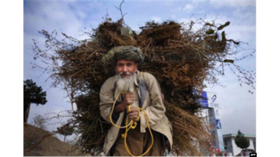 So’rov: Afg’on xalqi Tolibondan aynib, hukumatga ishona boshlagan