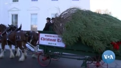 White House Kicks Off Holiday Season