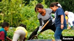 FILE - First Lady Michelle Obama (C) harvests vegetables from the White House kitchen garden with schoolchildren in Washington October 14, 2014.