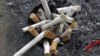 Cigarette butts are seen in an ashtray in Los Angeles, California, May 31, 2012. 