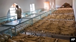 FILE - Mike Nkuzumuwami stands by the rows of human skulls and bones that form a memorial to those who died in the redbrick church that was the scene of a massacre during the 1994 genocide.