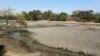 Drought Threatens Livestock in Western Zimbabwe
