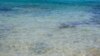 The discovery of new life deep beneath the ocean floor could influence how we respond to global warming gases in the atmosphere.