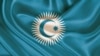 Turkiy kengash huquq bobida qachon shijoat ko’rsatadi?