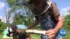 Honeybees Help Displaced Workers in West Virginia 