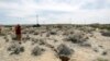 Big Earthquakes Raise Interest in West Coast Warning System
