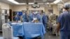 Needle-Nose Parasite Inspires New Surgical Bandage