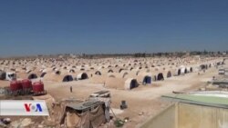 Nerînên Penaberên Efrînî yên Ser Vekişîna Amerîka ji Sûrîyê