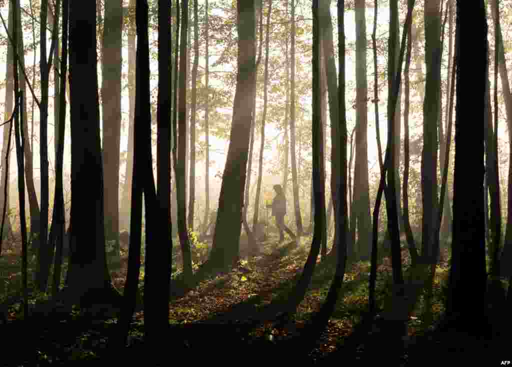 A woman walks her dog on a foggy morning near the village of Meshcherskoye, outside Moscow, Russia.