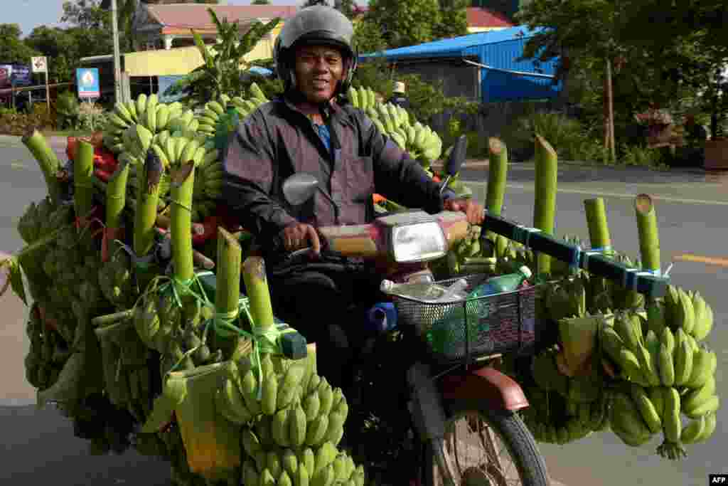 A Cambodian man rides his motorbike loaded with bananas along a street on the outskirts Phnom Penh, Oct. 30, 2017.