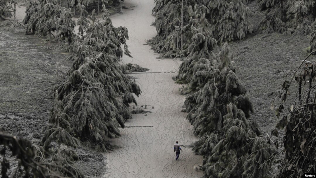 A man walks on a road blanketed with volcanic ash from the erupting Taal Volcano in Tagaytay, Philippines, January 14, 2020. 