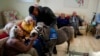 Greece's only miniature therapy horses bring joy to many, but the charity is struggling 