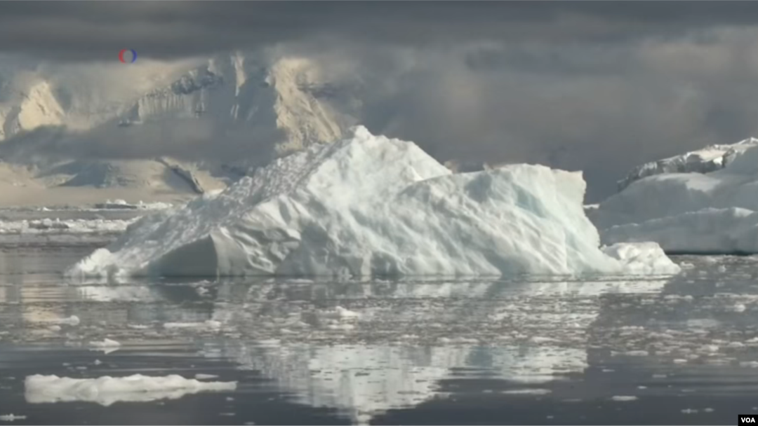 Greenpeace recently found one microplastic piece per liter in snow and seawater samples taken at Antarctica.