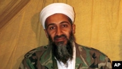 Osama bin Laden 2011-yil may oyida AQSh maxsus kuchlari tomonidan Pokistonda o'ldirilgan