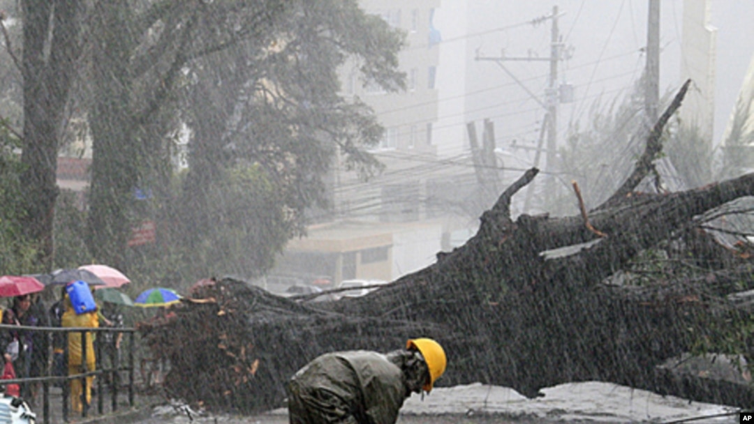 A worker inspects damaged electrical post as Typhoon Nanmadol uprooted big trees in Baguio City, north of Manila, Philippines, August 27, 2011