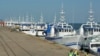 Barcos (da Ematum) da discórdia