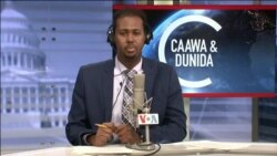 Caawa iyo Dunida