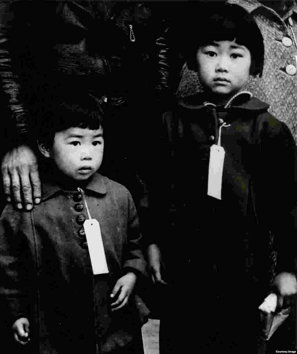 AQSh hukumatining ko&#39;rsatmasiga ko&#39;ra, yapon bolalari raqam, shaxsiy ma&#39;lumot yozilgan yorliqlar taqib yurishga majbur edi. 1942-yil. Kaliforniya. Amerikalik suratkash, fotojurnalist Doroteya Lang Buyuk tushkunlik davrini mohirona tasvirga tushirgan. U hujjatli fotografiya rivojiga qo&#39;shgan hissasi bilan tanilgan.