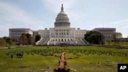 A tree art installation made up of individual trees and Hydrangeas is seen in front of the U.S. Capitol building on Capitol Hill in Washington, April 22, 2018, to celebrate Earth Day and promote the planting of trees in an effort to combat climate change.