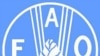 Food Outlook Improved but Future Remains Uncertain
