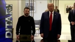 Ditari - Zelenskyy, takim me republikanin Trump, pas bisedimeve me Presidentin Biden 