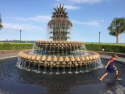 The Pineapple Fountain, an iconic landmark, Charleston, S.C., Sept. 18, 2019. (J. Taboh/VOA News)