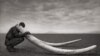 Born Free and C4ADS say elephant poaching is several hundred million dollar industry. (Credit: Born Free USA)