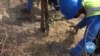 Youth Conservationists Help Out During COVID Crisis