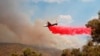 Australian Scientists Developing Technology to Predict Path of Bushfires